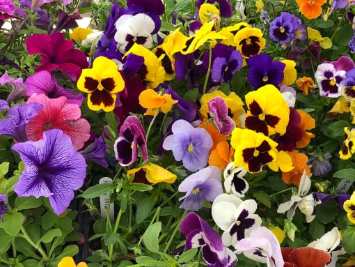 Christmas Gift Box on the Beach