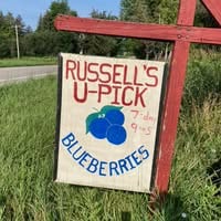 Russell's U-Pick Blueberries